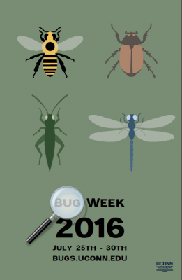 bug week poster