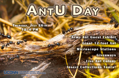 AntU day flyer