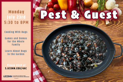 pests and guest graphic