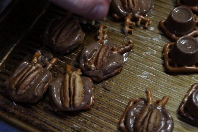 Many different beetle cookies