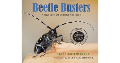 Beetle Busters book cover