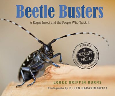 Beetle Busters book cover
