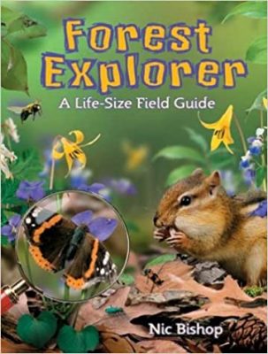 Forest Explorer book cover