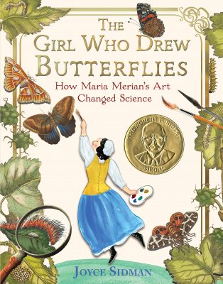 The girl who drew butterflies book cover
