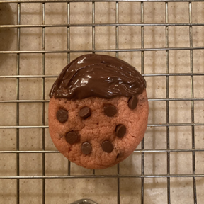 insect inspired cookie