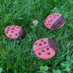 insect inspired cookie