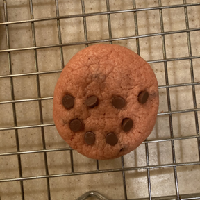 insect inspired cookie