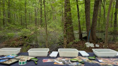 Equipment and photos on a table in the forest.
