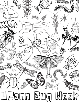 Coloring page with insects all over it.