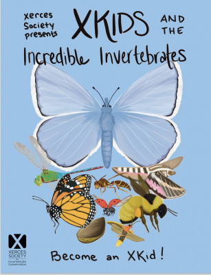 Cover of Xerces kids activity book with pollinators on a blue background.