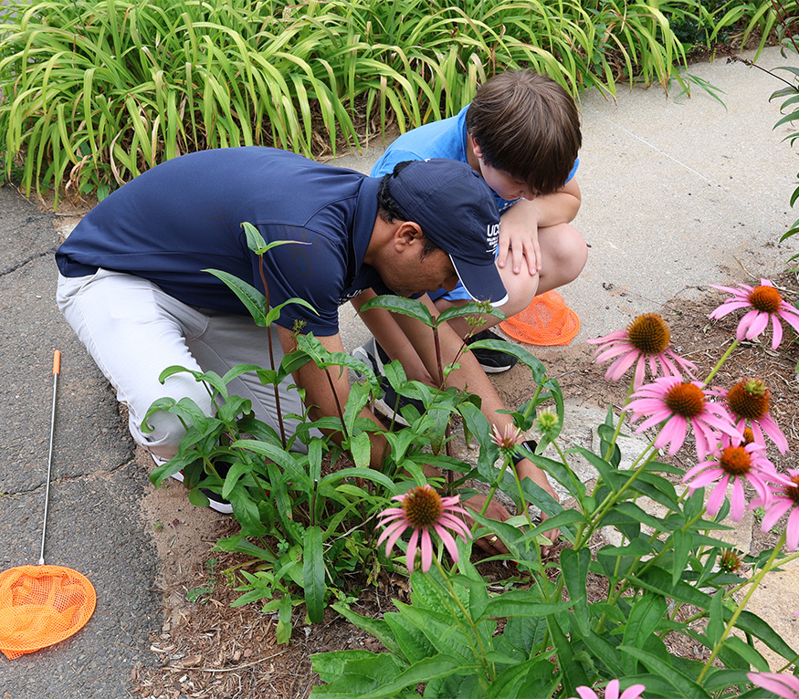Extension educator looking for bugs in the dirt with a kid next to him.