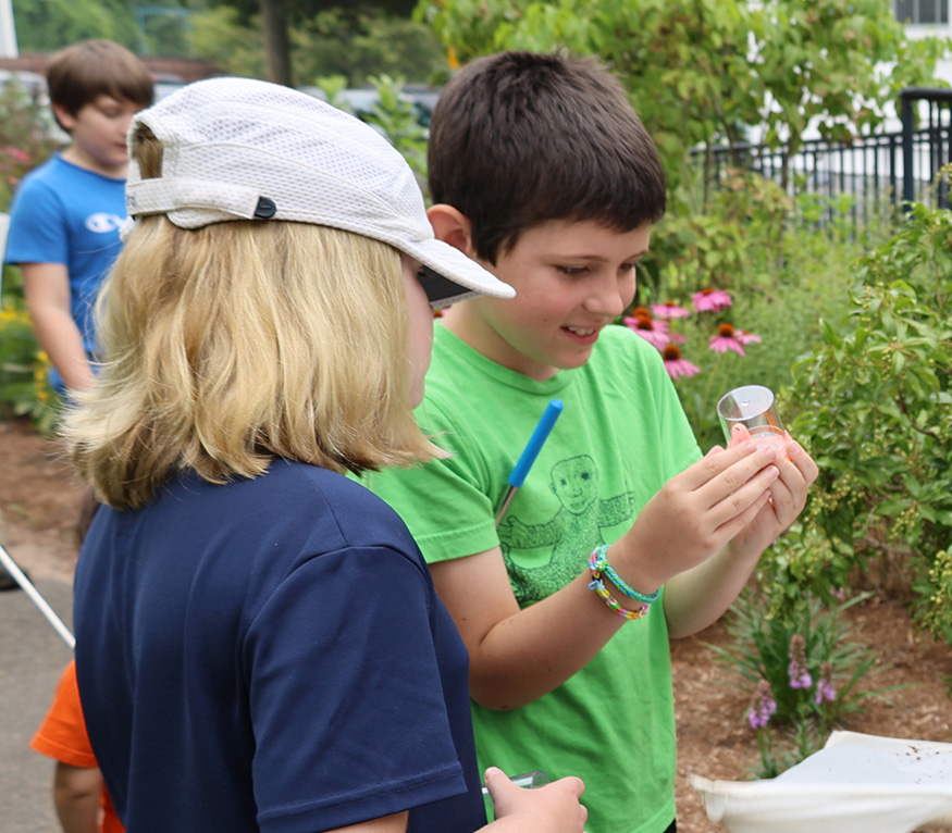 kids looking at a bug