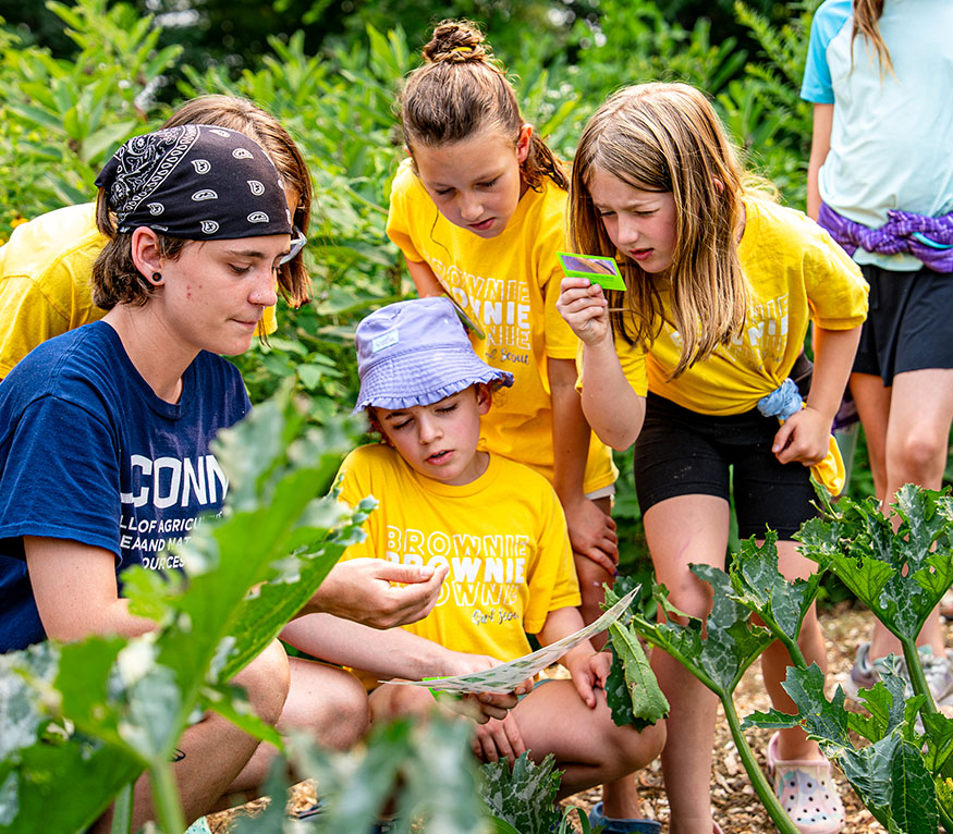 a group of kids looking at bugs in a garden