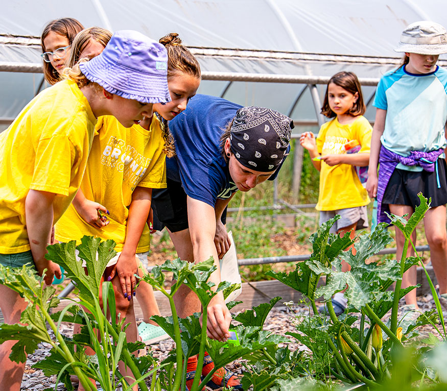 a group of kids looking at bugs in a garden