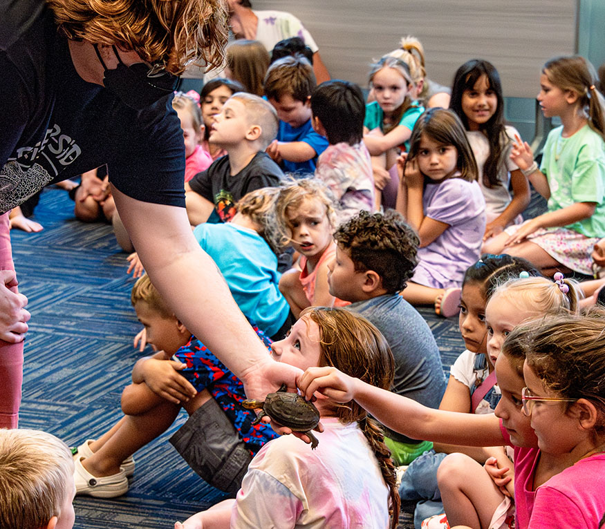 An educator showing a group of students a turtle.
